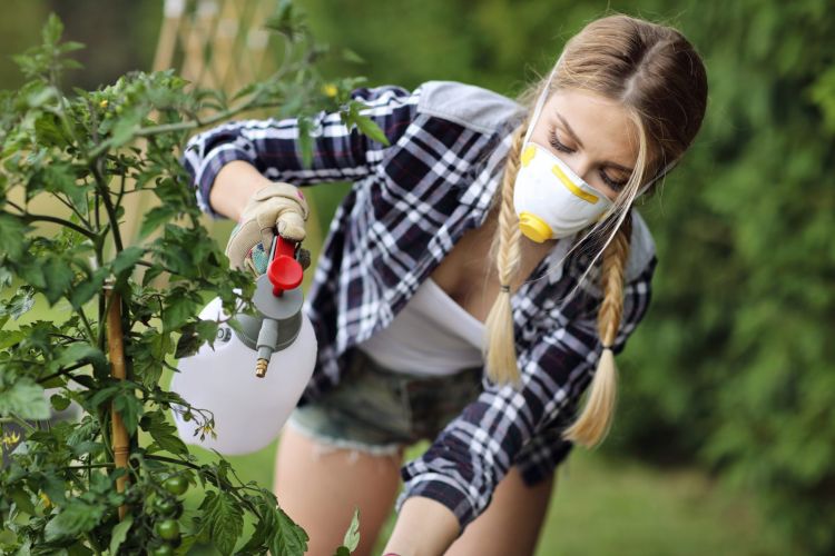 Reasons that make children more sensitive to pesticides