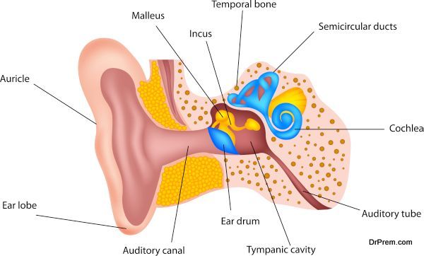 How to treat your child’s ear pain at home