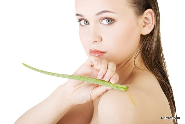 Aloe Vera offers a wealth of benefits for the skin