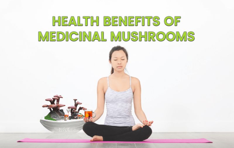 Health benefits of medicinal mushrooms