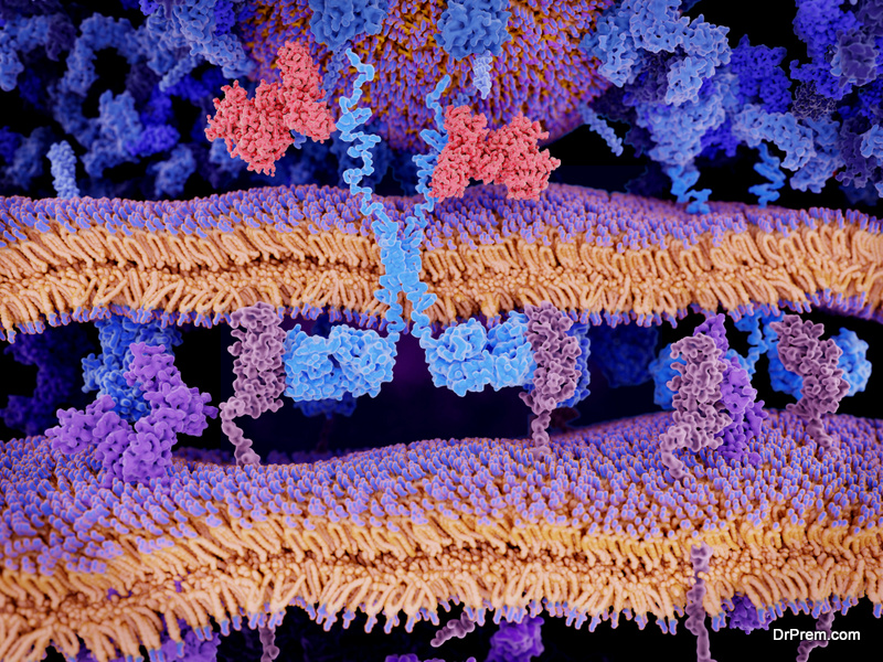 biomolecule